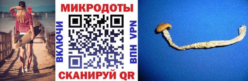 Галлюциногенные грибы Psilocybine cubensis  kraken   darknet формула  Дивногорск 